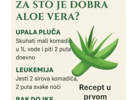 ZA ŠT0 JE DOBRA ALOE VERA?