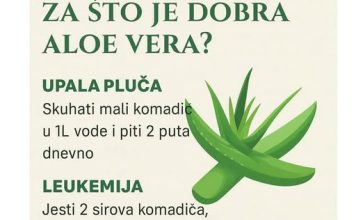 ZA ŠT0 JE DOBRA ALOE VERA?
