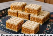 KARAMEL-SUSAM OBLANDE – sitni KOLAČ pun ukusa, bez pečenja