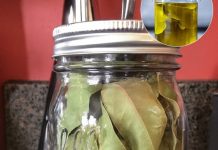 Kako napraviti ulje lovora i zašto je to skriveni lijek za bol i upalu