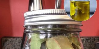 Kako napraviti ulje lovora i zašto je to skriveni lijek za bol i upalu