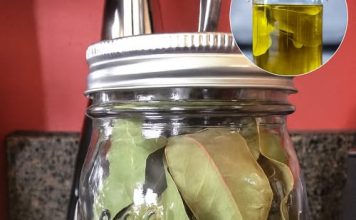 Kako napraviti ulje lovora i zašto je to skriveni lijek za bol i upalu