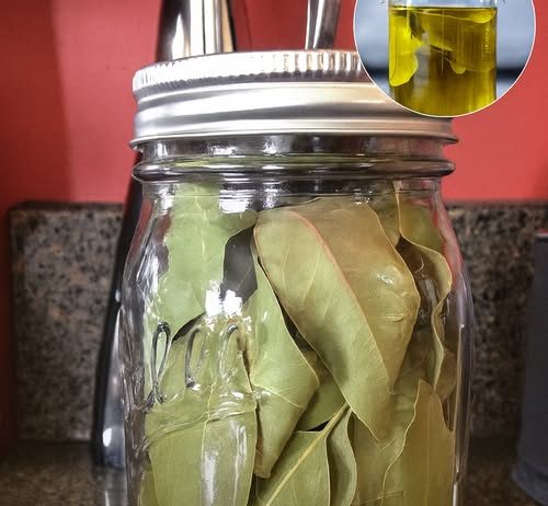 Kako napraviti ulje lovora i zašto je to skriveni lijek za bol i upalu