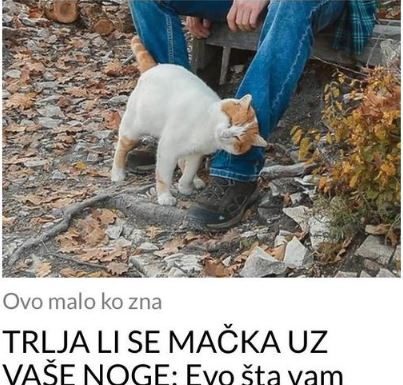 TRLJA LI SE MAČKA UZ VAŠE NOGE: Evo šta vam pokušava reći