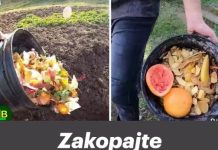 Zakopajte kuhinjske ostatke zimi i imat ćete najplodniji vrt u proljeće