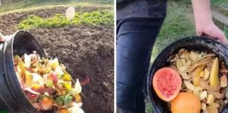Zakopajte kuhinjske ostatke zimi i imat ćete najplodniji vrt u proljeće