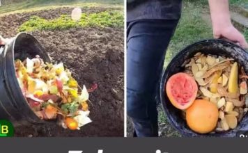 Zakopajte kuhinjske ostatke zimi i imat ćete najplodniji vrt u proljeće
