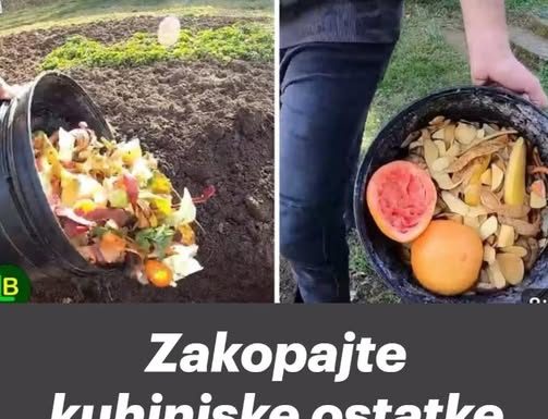 Zakopajte kuhinjske ostatke zimi i imat ćete najplodniji vrt u proljeće