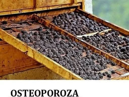 Osteoporoza: Suhe šljive mogu pomoći u očuvanju koštane mase, u borbi protiv upale
