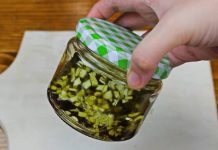 Bolne i proširene vene su prošlost – Prirodni lek od samo 3 sastojka