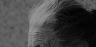 S kim bi starije osobe trebale živjeti, posebno nakon 70 godina?