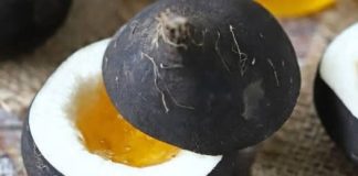 REŠITE SE ŠLAJMA IZ PLUĆA I GRLA: Sve što će vam trebati je prirodni eliksir od meda i rotkve