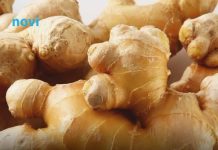 Đumbir je zdrav, ali nije dobar za svakoga: Znate li ko ne bi trebao da ga uzima?