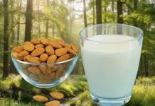 Zaboravite na apoteke: Drevni prirodni eliksir koji regeneriše kosti, čisti vid i briše astmu i nesanicu iz vašeg života – Recept koji vraća tijelo u ravnotežu!