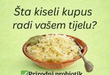 ŠTA KISELI KUPUS RADI VAŠEM TIJELU?!