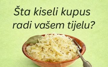 ŠTA KISELI KUPUS RADI VAŠEM TIJELU?!