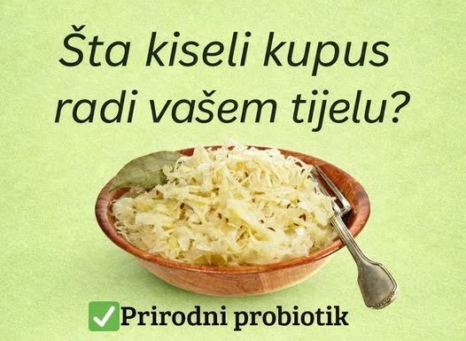 ŠTA KISELI KUPUS RADI VAŠEM TIJELU?!