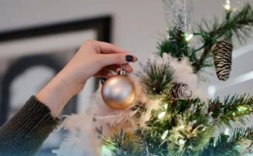 Evo gdje jelka treba da vam stoji u sobi ako želite sreću i blagostanje u 2026. godini