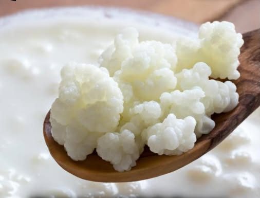 Drevna metoda kojom su Egipćani čistili creva: Samo ovako ćete izbaciti sve toksine – tvrdi doktorka Tamara Sarić