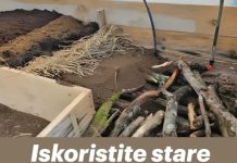 Iskoristite stare grane i napravite najplodniji vrt za vaše povrće – NEĆETE POŽALITI