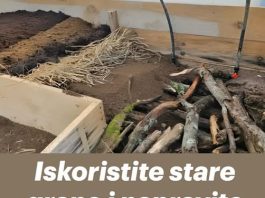 Iskoristite stare grane i napravite najplodniji vrt za vaše povrće – NEĆETE POŽALITI