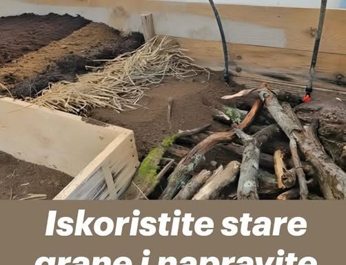 Iskoristite stare grane i napravite najplodniji vrt za vaše povrće – NEĆETE POŽALITI
