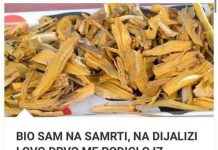 BIO SAM NA SAMRTI, NA DIJALIZI, I OVO DRVO ME PODIGLO IZ MRTVIH, DOKTORI NISU VJEROVALI, 100 % DJELUJE, A NIJE SKUPO