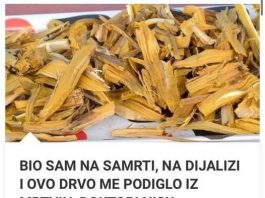 BIO SAM NA SAMRTI, NA DIJALIZI, I OVO DRVO ME PODIGLO IZ MRTVIH, DOKTORI NISU VJEROVALI, 100 % DJELUJE, A NIJE SKUPO