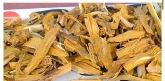 BIO SAM NA SAMRTI, NA DIJALIZI, I OVO DRVO ME PODIGLO IZ MRTVIH, DOKTORI NISU VJEROVALI, 100 % DJELUJE, A NIJE SKUPO