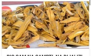 BIO SAM NA SAMRTI, NA DIJALIZI, I OVO DRVO ME PODIGLO IZ MRTVIH, DOKTORI NISU VJEROVALI, 100 % DJELUJE, A NIJE SKUPO