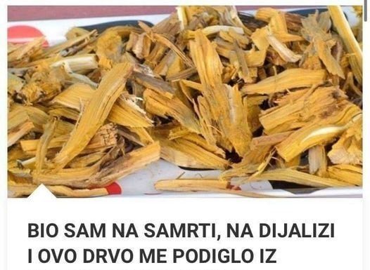 BIO SAM NA SAMRTI, NA DIJALIZI, I OVO DRVO ME PODIGLO IZ MRTVIH, DOKTORI NISU VJEROVALI, 100 % DJELUJE, A NIJE SKUPO
