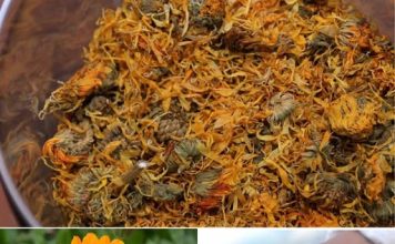 ČAJ OD NEVENA – NEVJEROVATNO KORISTAN, POSEBNO ZA ŽENE