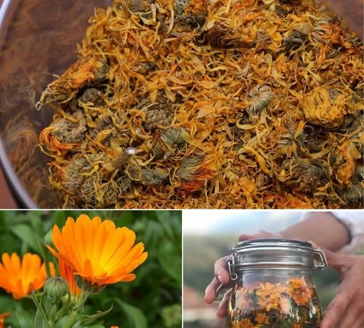 ČAJ OD NEVENA – NEVJEROVATNO KORISTAN, POSEBNO ZA ŽENE