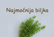 Najzdravija biljka koja smanjuje upale i loš holesterol: Zovu je kraljicom začina jer od nje strahuju bakterije