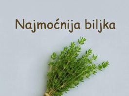 Najzdravija biljka koja smanjuje upale i loš holesterol: Zovu je kraljicom začina jer od nje strahuju bakterije