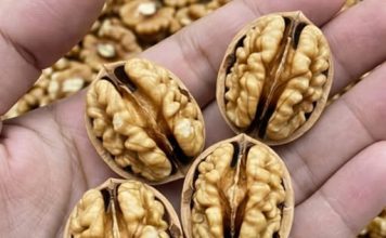 Ljekari otkrivaju: Šta jedenje oraha može učiniti za vaše zdravlje