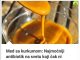MED SA KURKUMOM: Najmoćniji antibiotik na svijetu koji čak ni doktori ne mogu da objasne