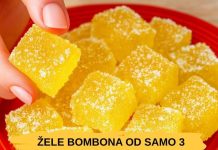 ŽELE BOMBONE OD SAMO 3 SASTOJKA: Slatkiš za sva vremena!