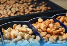 Ovo su 3 najzdravije grickalice na svijetu: Grickajte tokom praznika bez osjećaja krivice