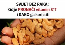 SVIJET BEZ RAKA: Gdje PRONAĆI vitamin B17 i KAKO ga koristiti