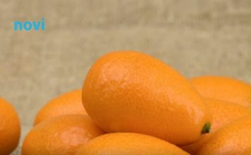 Znate li kako se zove ovo voće? Zovu je čudesnom voćkom, evo kako se jede