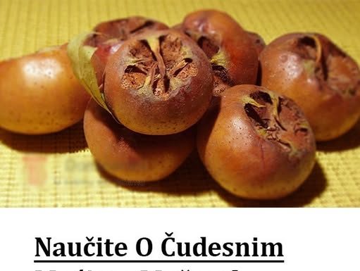 Naučite O Čudesnim MOĆIMA Mušmule: Od Podizanja Imuniteta DO Njege Zdravlja MOZGA