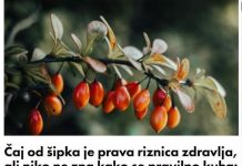Čaj od šipka je prava riznica zdravlja, ali niko ne zna kako se pravilno kuha: Jedna stvar mu uništava sve vitamine