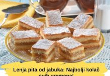 LENJA PITA OD JABUKA: Najbolji KOLAČ svih vremena