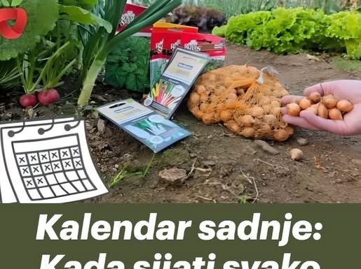 Kalendar sadnje: Kada sijati svako povrće (Izbjegnite ove greške)