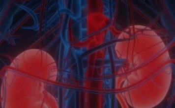 KADA SA BUBREZIMA NIJE SVE U REDU, TIJELO ŠALJE OVE SIGNALE: 6 simptoma koje ne smijete ignorisati!