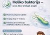 Da li se heliko bakterija može potpuno izliječiti? Simptomi, terapija i dijagnoza