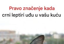 Kada crni leptir posjeti vašu kuću, to bi moglo značiti nešto ozbiljno