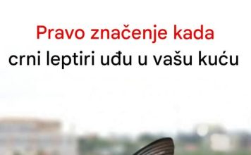 Kada crni leptir posjeti vašu kuću, to bi moglo značiti nešto ozbiljno