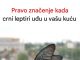 Kada crni leptir posjeti vašu kuću, to bi moglo značiti nešto ozbiljno
